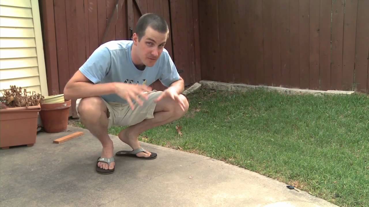 aquascaping plants It's Clear and Sticky, But Does it Work?