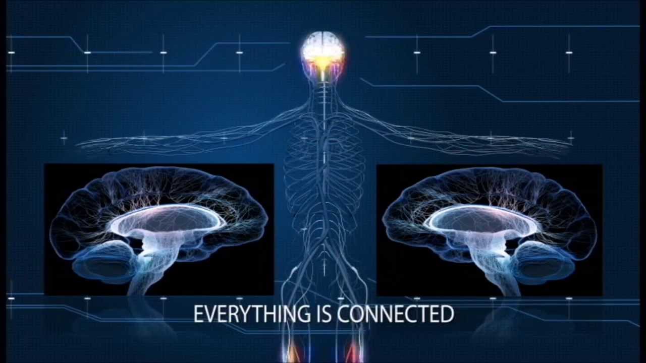 Acupuncture In Tallahassee Chinese Medicine Back Pain Relief YouTube