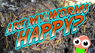 Are My COMPOSTING WORMS HAPPY?