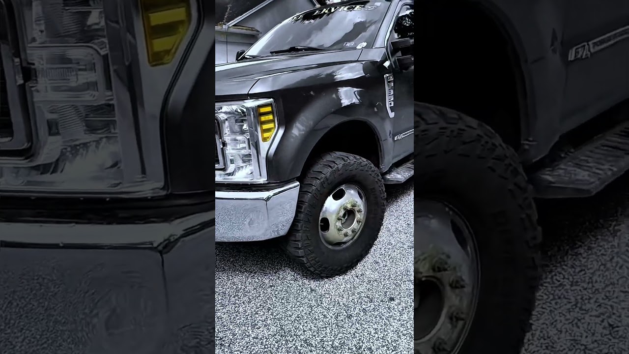 🌴 Quality Tree Services for Tampa, FL! 