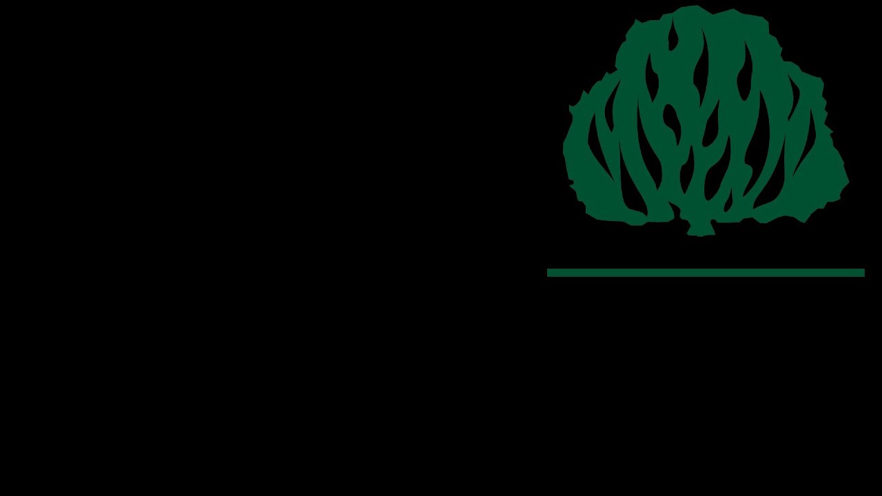 Culto Vespertino - IPB de Muniz Freire 01/03/2026 - 19h - Igreja Presbiteriana de Muniz Freire