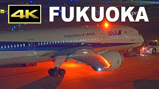 [4K] Plane Spotting on September 8, 2020 at Fukuoka Airport / 福岡空港 JAL ANA / Fairport