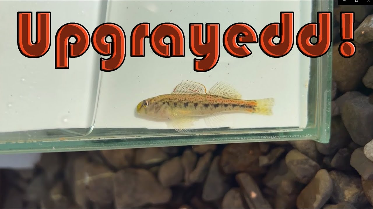 Microfishing: Fishing at a Snail's Pace, Day 1, Pt 2