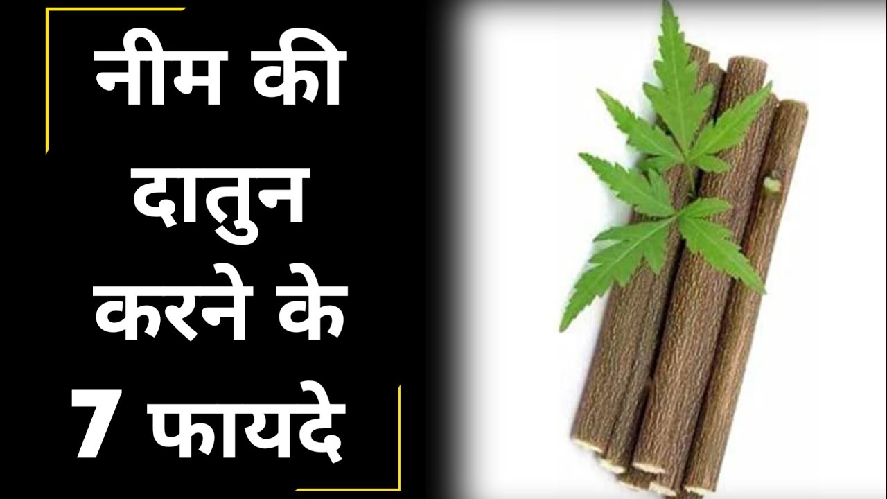 Neem Datun Benefits in Hindi neem stick use karne se teeth brushing me