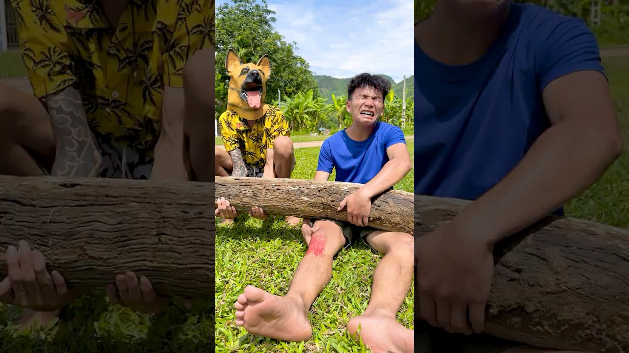 Fun Fun TV: Kind Little Puppy #shorts
