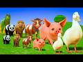 Long Slide Game with Colourful Duck Cow Tiger Gorilla Dog Elephant 3d Animal Game Funny 3d Animals