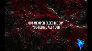 Of Virtue - Cut me open (Lyric Video)