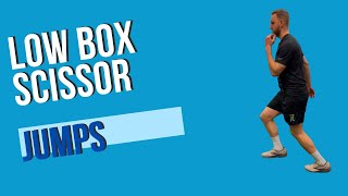 Low Box Scissor Jumps
