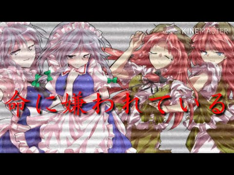 東方PV『命に嫌われている/まふまふ』＆報告