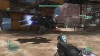 Banshee Bug