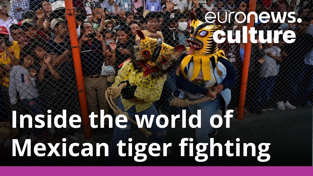 Inside the world of Mexican tiger fighting: a brutal indigenous rain ritual