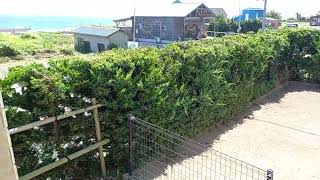 サニーコースト南房総ペット館の部屋　綺麗で設備もしっかり。満足🈵✨