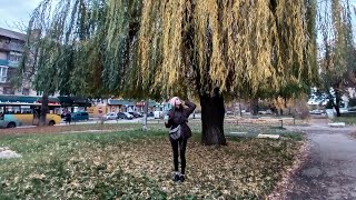 видео: Гадяч. В КАФЕ ЗНІМАТИ НЕ МОЖНА! Поламані лавочки у центрі міста😮💨 але....є плюси #мандрівник картинка: Гадяч. В КАФЕ ЗНІМАТИ НЕ МОЖНА! Поламані лавочки у центрі міста😮💨 але....є плюси #мандрівник