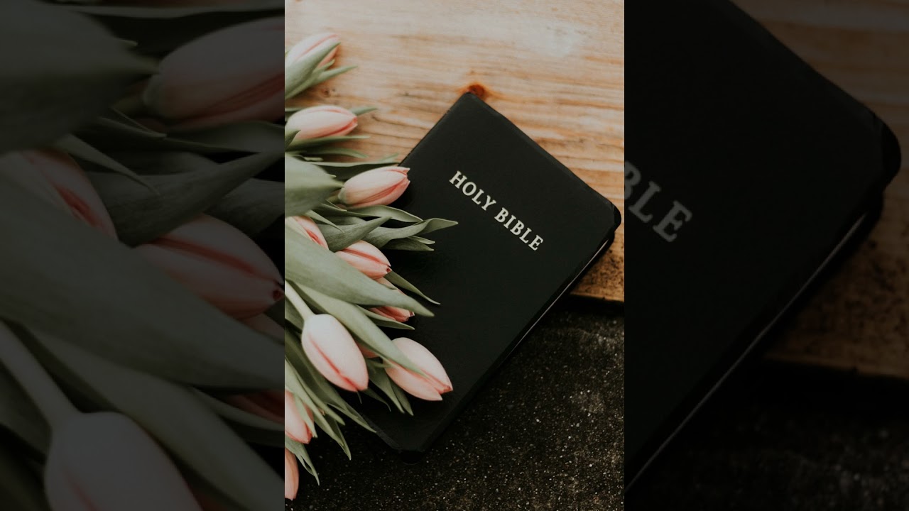 11-The First Book of The Kings - Chapter 21