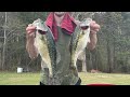 Lake Allatoona Bass Fishing Report April 4th 2025