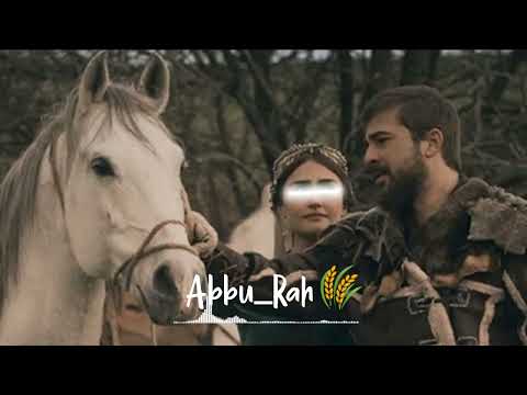 нашид Nasheed 5