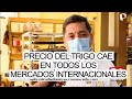 PRECIO DEL TRIGO CAE EN LOS MERCADOS INTERNACIONALES / JULIO 2022