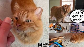 Hes Ready To Face The Day