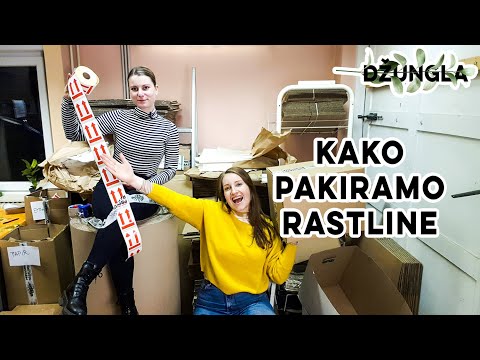 Video: Kako Prodati Rastline