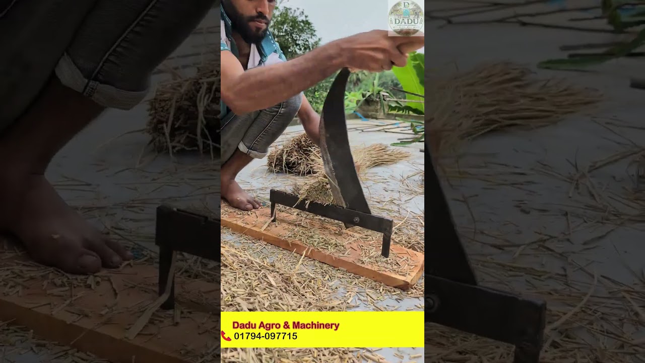 জাতি কিং ম্যানুয়াল খড় ও ঘাস কাটার মেশিন