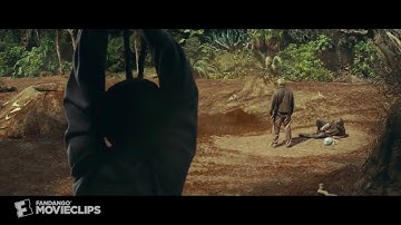Dangerous ants Vs man scary video