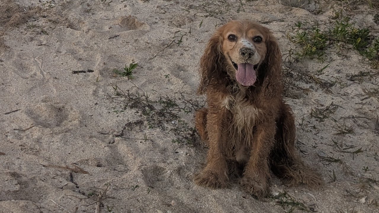 Butterfly Knife Trainer Practice