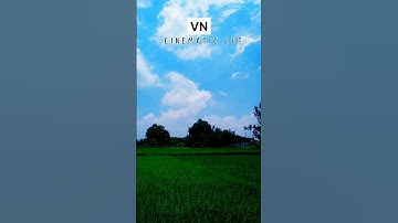 🔥VN CINEMATIC LUT🔥||vn colour grading|| #youtube #viral #shorts #vn #vntutorial #cinematic #video