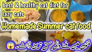 Best and healthy cat food recipe for lazy cats || Summer homemade cat food || Affordable diet