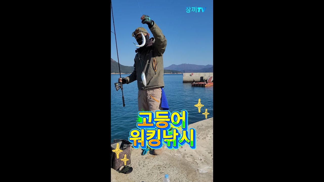 선착장 고등어 연타 터졌다! 쭉쭉 올라오는 손맛!