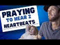 Pregnant with Twins and Praying for 2 Heartbeats 🙏🏻 ❤️ image