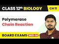 Polymerase Chain Reaction - Biotechnology Principles and Processes | Class 12 Biology