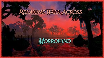 Relaxing Walk Across Morrowind - Ambient Music and Sounds in 4k