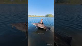 The Most Expensive Sturgeon Caviar ?