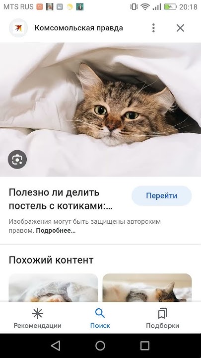 клип котик - YouTube