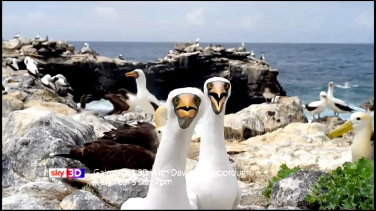 Galapagos 3D with David Attenborough Trailer (Sky 3D)