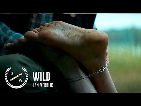 WILD | Disturbing Dutch Horror Short Film