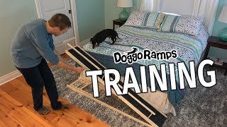 DoggoRamp Training Video  Training Your Dog to Use a Bed Ramp