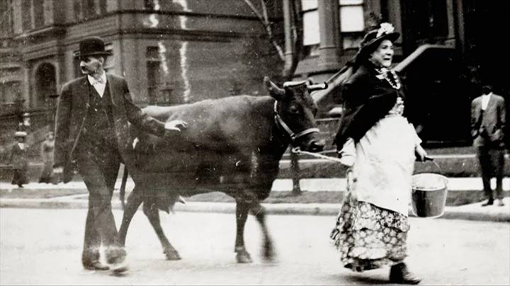 The Myth of Mrs. O'Leary  The Great Chicago Fire: ...