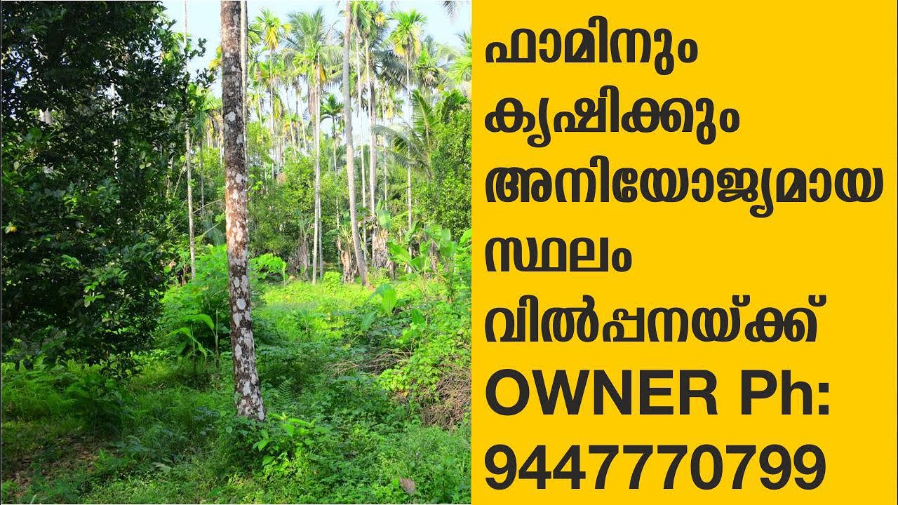 ഫാമിനും കൃഷിക്കും അനുയോജ്യമായ സ്ഥലം വില്പനക് Land For Sale In