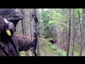 BEST COMPILATION AMAZING 25 SHOOT BOWHUNTING compilation 25 tir chasse à l'arc