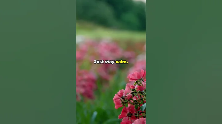 Exodus 14:14  #bible #motivation #help #inspiration #exodus #bibleverse #faith #shorts