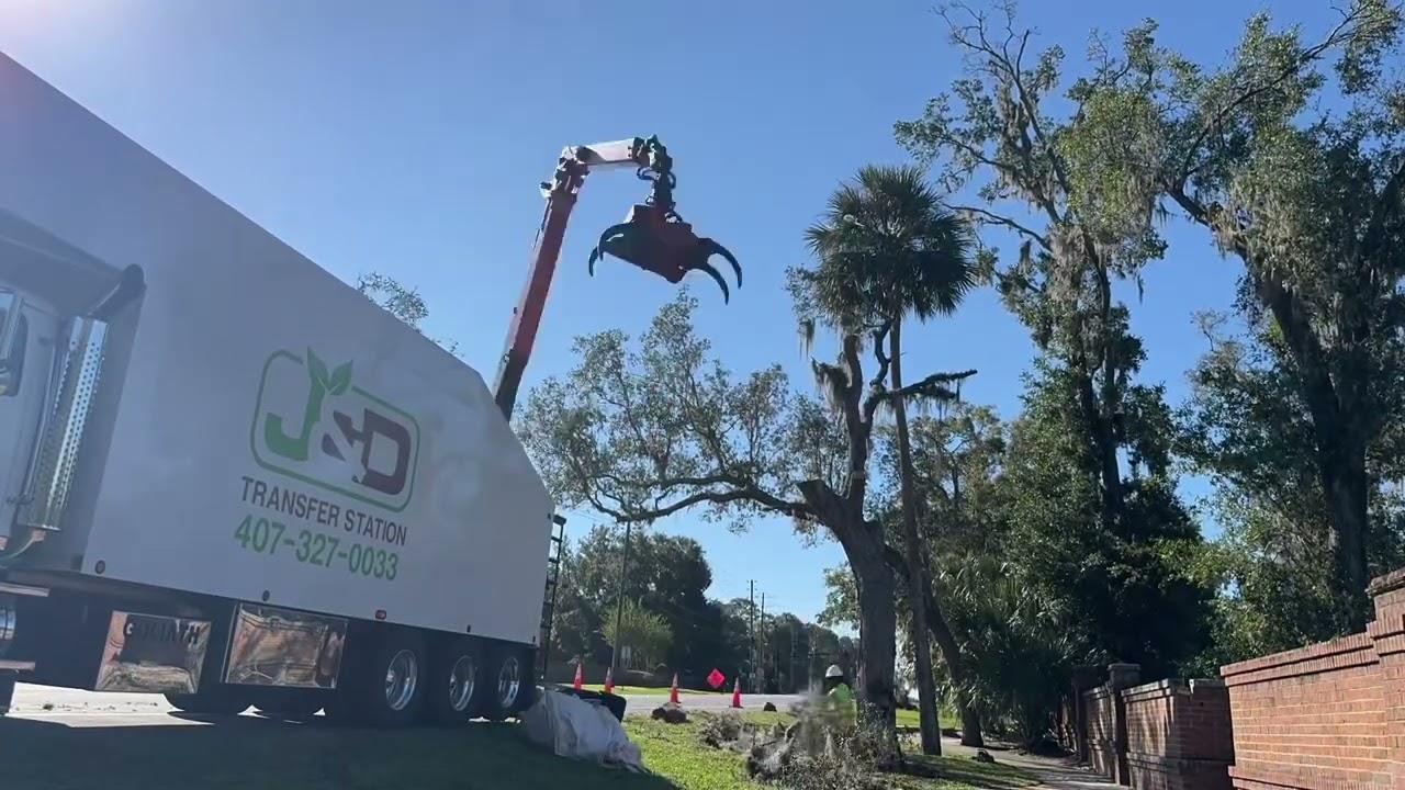 45 min tree removal with SG280