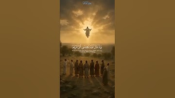 ✨تلاوة جميلة لسورة المائدة🤍