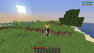 11:32 Minecraft Speedrun (FSG)