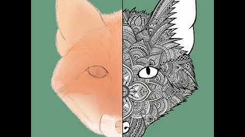 Time lapse zentangle fox on Procreate