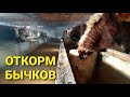 Вообще Мықты Бизнес екен🔥🔥 бұқа бордақы