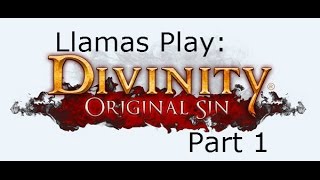 It seems to be broken: Divinity: Original Sin (Part 1)