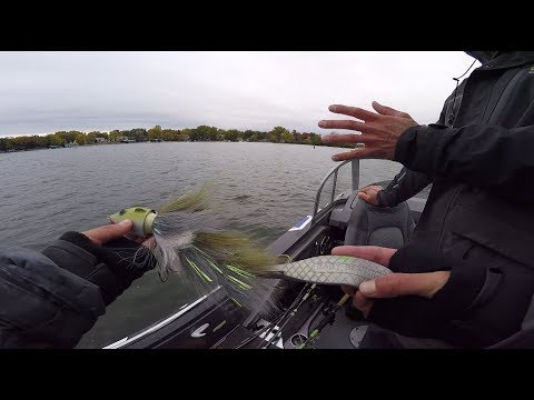 bass fishing at night A Beaver Fishing Lure?