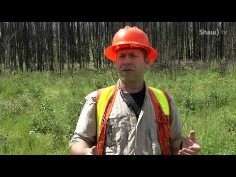 Weyakwin Fire