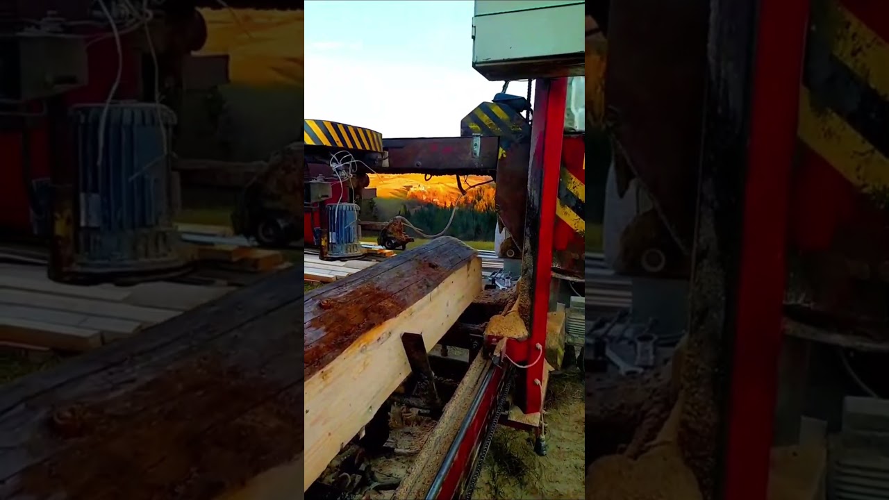 Amazing Fastest Large Wood Sawmill Machine Working- Woodworking Processing Factory Modern Technology